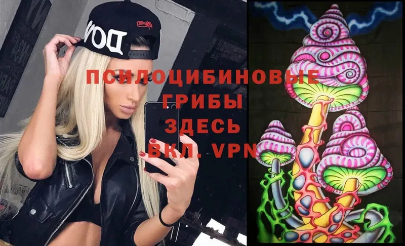 Галлюциногенные грибы Psilocybe  ссылка на мегу   это состав  как найти закладки  Касимов 